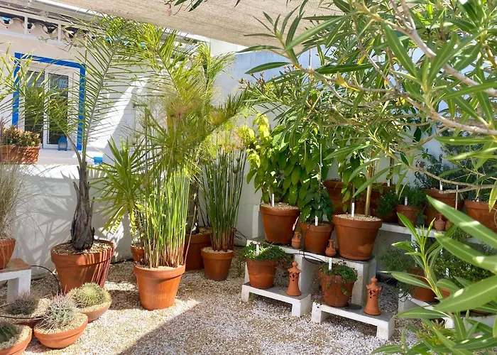 Primaveira - Nur Fuer Erwachsene By Interhome 펜션 *